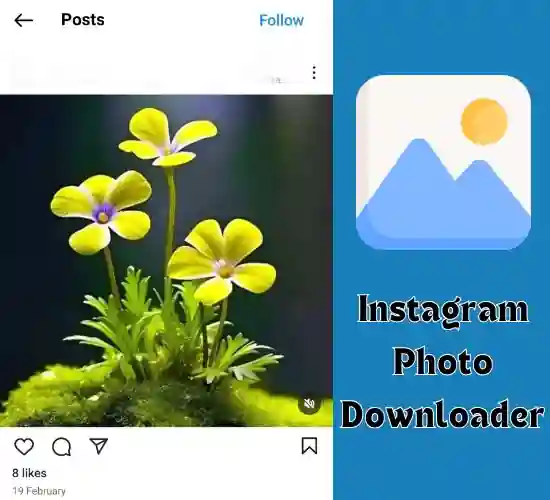Iggram