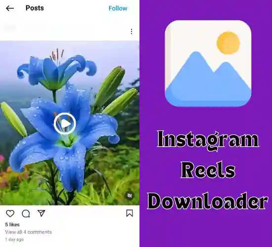 Iggram