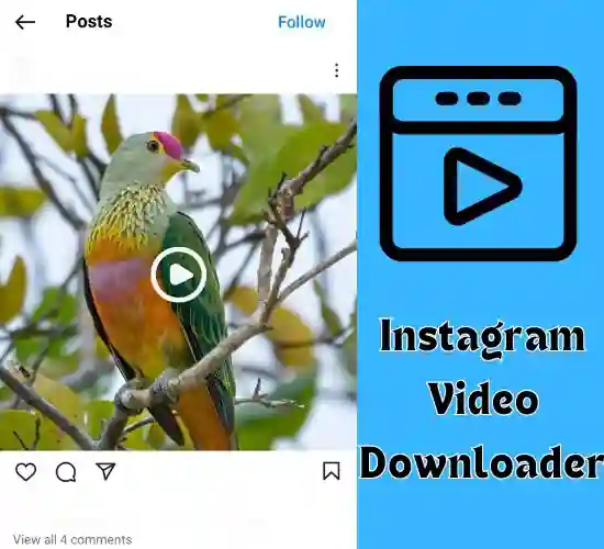 Iggram